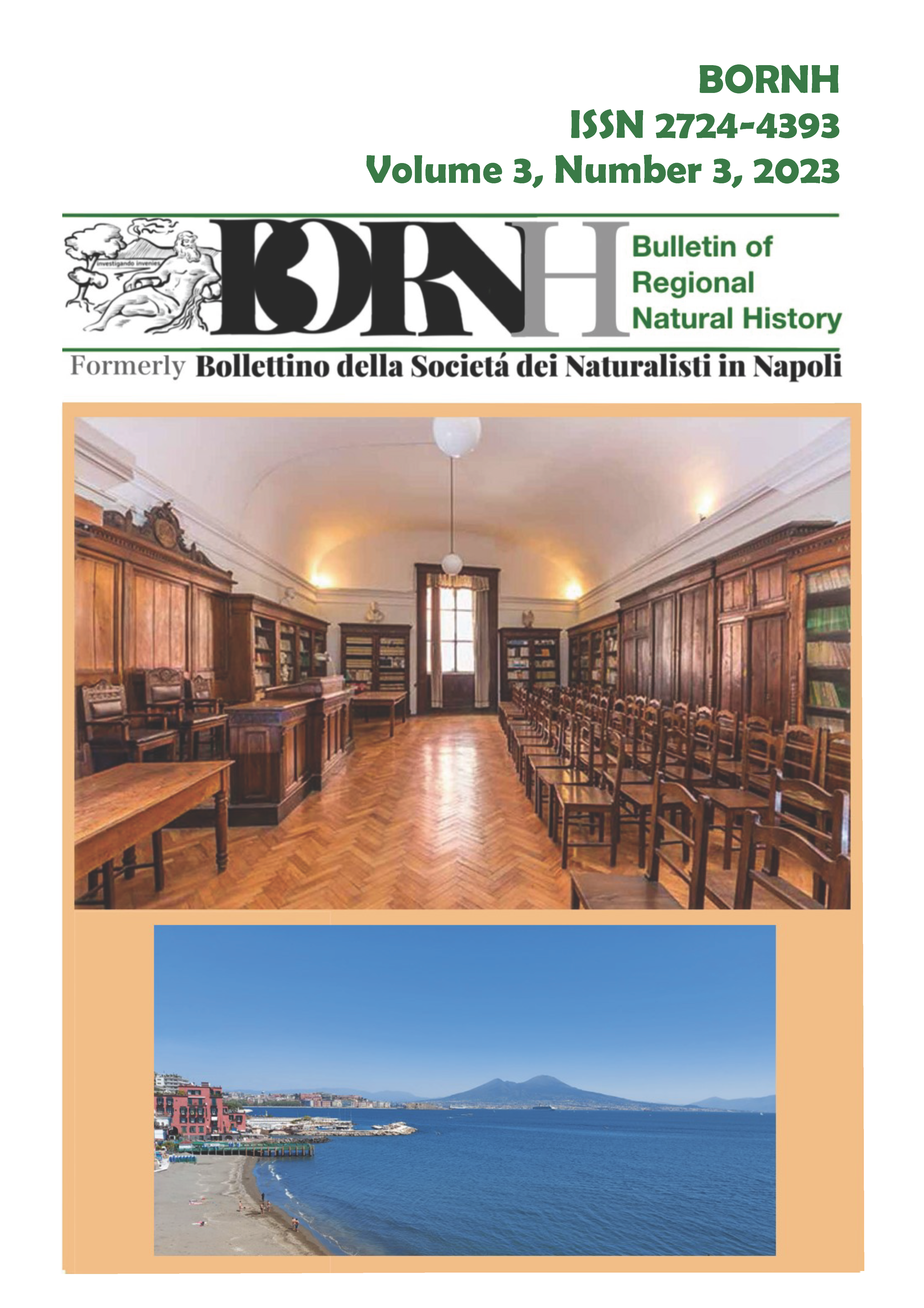 					Visualizza V. 3 N. 3 (2023): BORNH  03/2023
				