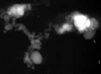 Hydrographic imaging